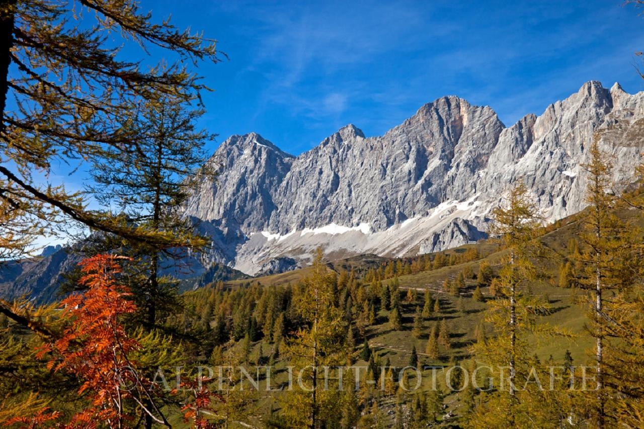 Pension-Greimelbacherhof Ramsau am Dachstein Exterior photo