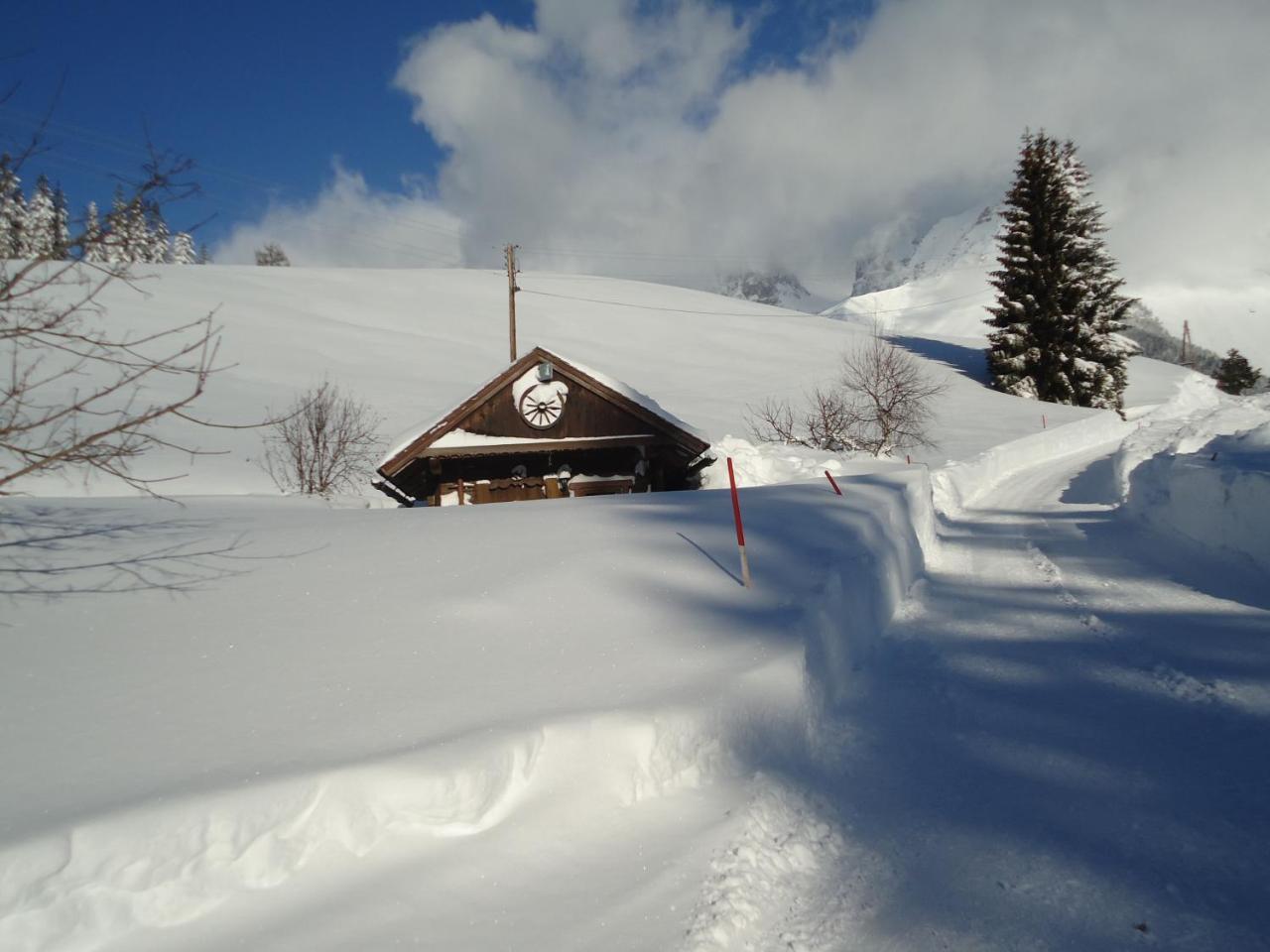 Pension-Greimelbacherhof Ramsau am Dachstein Exterior photo